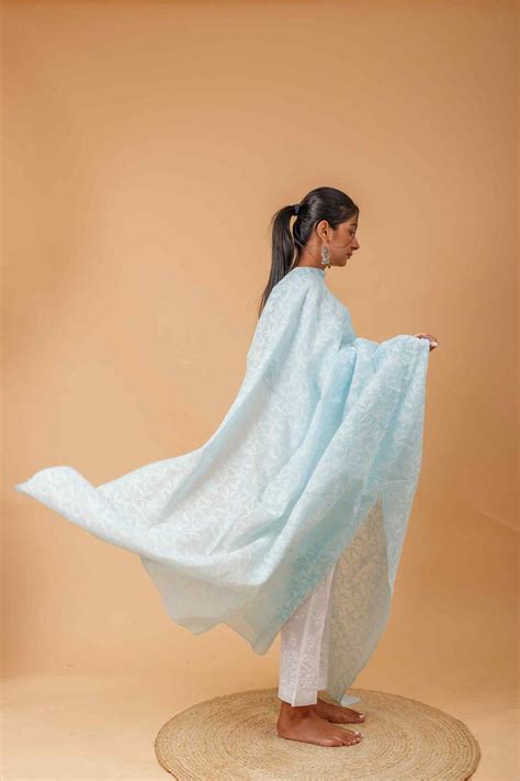 Arsh Handcrafted Chikankari Pure Cotton All Over Tepchi Dupatta ...