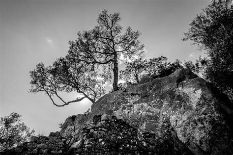 Locality Photography Themes 的图像结果