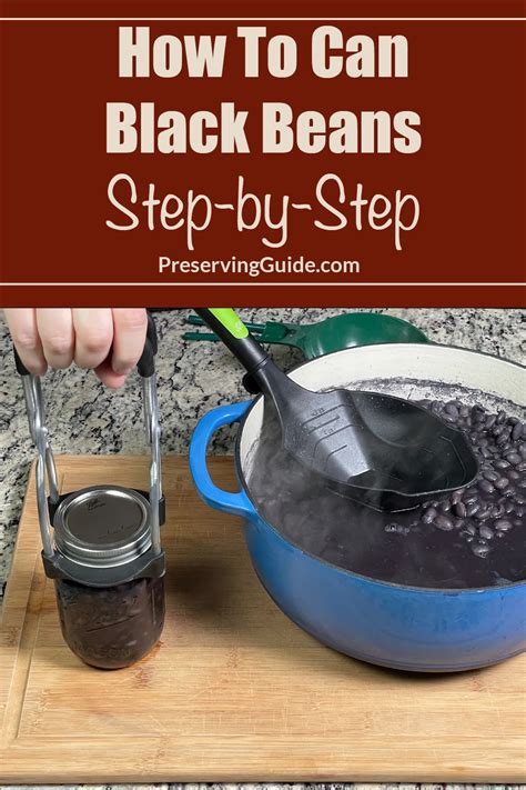 Canning String Beans Recipe 的图像结果