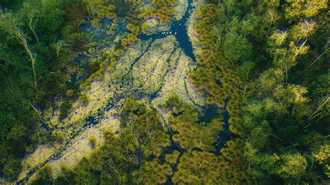 Apprenticeships in Conservation and Ecology | Best Apprenticeships