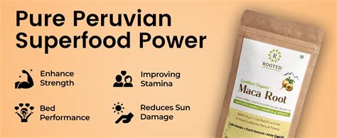 Rooted Active's Organic Maca Root Powder - Peruvian Superfood ...