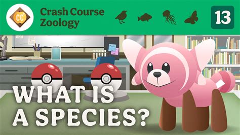 Image result for APES Crash Course