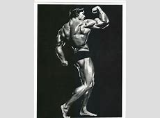 Arnold Schwarzenegger Bodybuilding Back Pose Muscle Photo 
