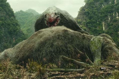Kong: Skull Island - Rise of the King- The Etimes Photogallery Page 6
