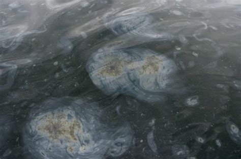 Pipeline Ruptures in California - Photos,Images,Gallery - 14453