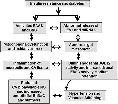 Licorice Causing Hypertension at Mario Anderson blog