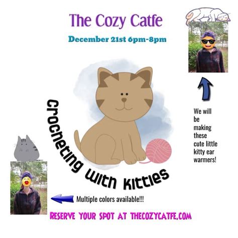 Crocheting with kitties , The Cozy Catfe, Arlington, 21 December 2023 ...
