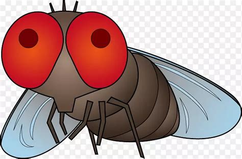 苍蝇、蚊虫插图、害虫防治-继续做梦PNG图片素材下载_图片编号6220408-PNG素材网