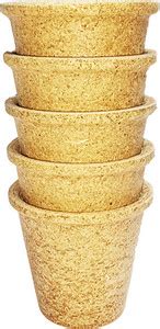 Beliko Pack of 5 Biocomposite Rice Husk Cup Organic – Natural Tea ...