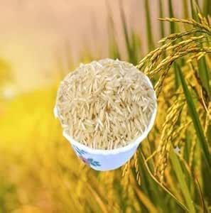 BIRIYANI Golden Sella Basmati Rice, 1KG : Amazon.in: Grocery & Gourmet ...