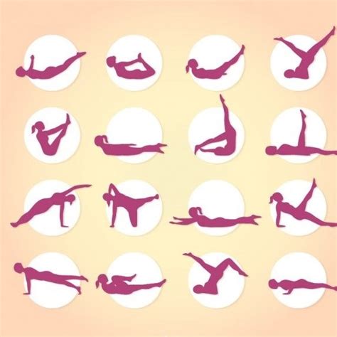 Image result for Pilates Extensor Exercises