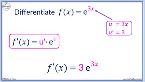 Exponential Derivative Examples 的图像结果