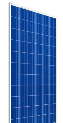 Polycrystalline Solar Panel ECEP40 | ECE India