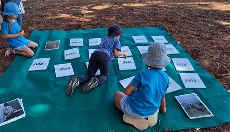 Image result for Video Memory Test Tools