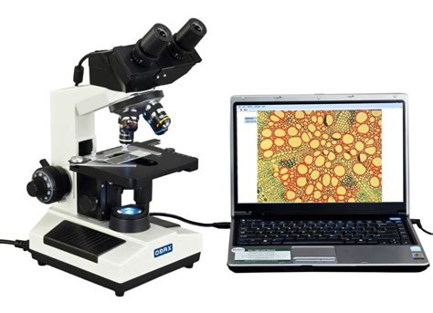 Image result for Compound Microscope with Camera