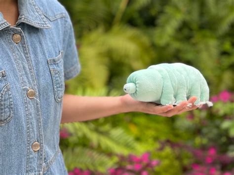 Tardigrade/water Bear Handmade Plushie - Etsy