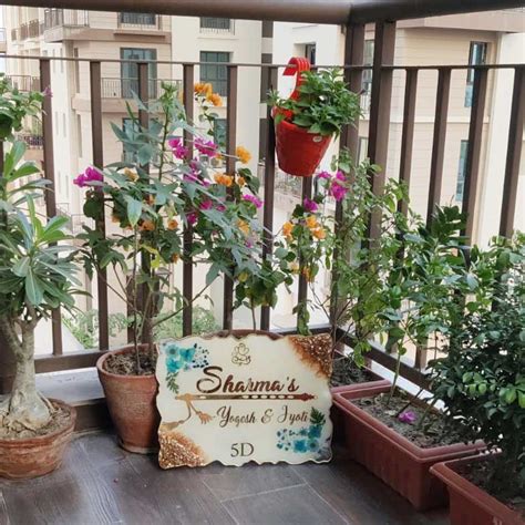 Mansha || Product details