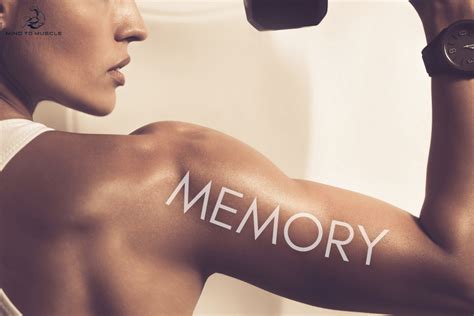 Image result for Muscle Memory Examples