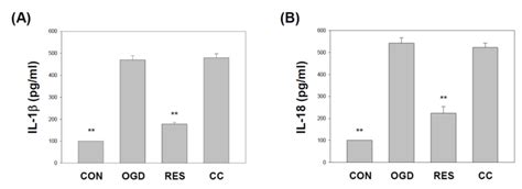 Resveratrol Mitigates Oxygen and Glucose Deprivation-Induced ...
