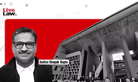 पंजाब एंड हरियाणा हाईकोर्ट ने कहा- बच्चे का सामान्य निवास स्थान यह तय ...