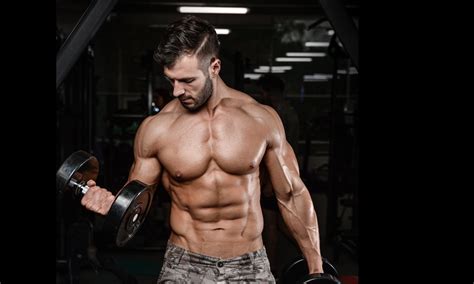 Image result for Powerlifting Program Tier List