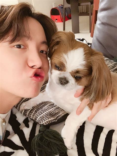 Everything You Need To Know About Jhope’s Dog Mickey