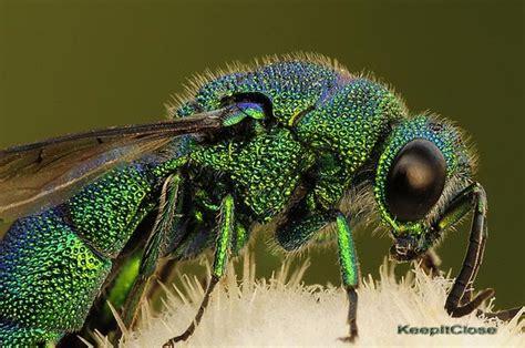 Image result for Example Picture That Has Visual Elements