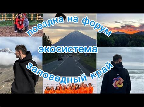 Моя поездка на форум экосистема заповедный край 2024 ( 1 часть) - YouTube