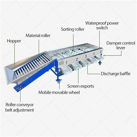 Image result for Fruit Sorting Machine