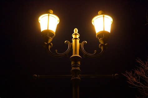 Apakah Merawat Konin Bisa Pakai Lampu Malam? - Featured Image