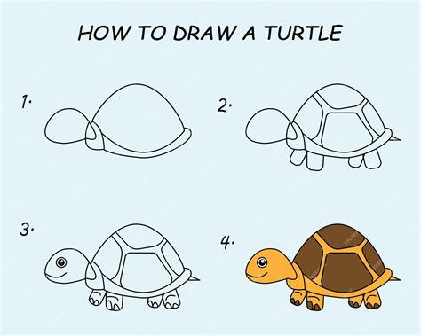 Image result for Turtle Tutorial