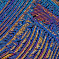 Bildergebnis für harnstickstoff