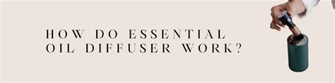 Image result for How Do Essential Oils Diffusers Work