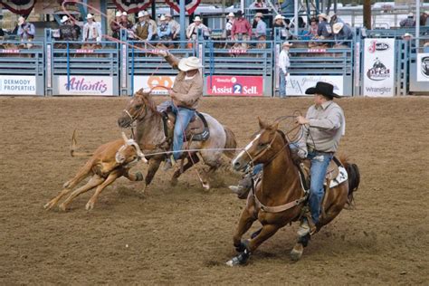 Image result for Team Roping Rodeo