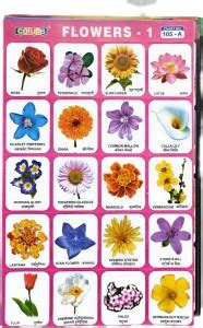 20 Different Random Mix Charts Cut Stick Paste for Kids School Scrap ...