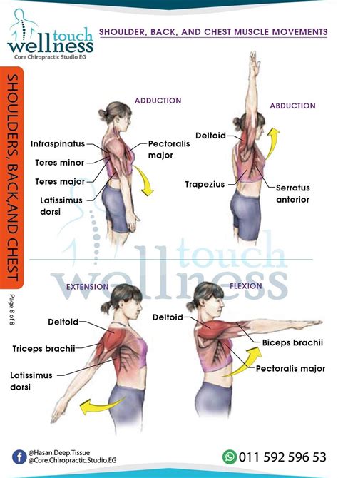 Shoulder impingement syndrome treatment with 4 exercises – Artofit