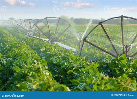 Soybean Field Irrigation System