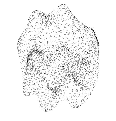 Image result for Random Vector Surface