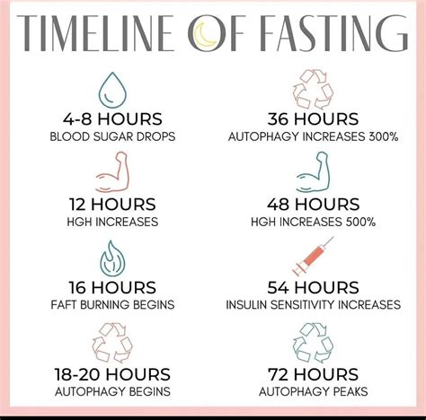 Pin by Mary Pat Bowman Corley on Fasting in 2025 | Intermittent fasting ...