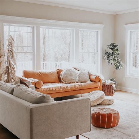 Poly and Bark Review - Must Read This Before Buying