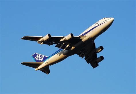 Buy LAMINATED 34x24 : Boeing 747 Ana All Nippon Airways Aircraft Plane ...