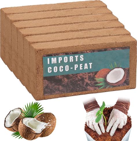 Amazon.com : JOEN Coco Coir Brick - Organic Coco Coir Potting Soil for ...