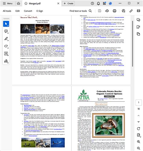 Image result for VBA Code to Merge PDF File