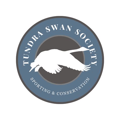 Why Tundra Swan Conservation Matters: Protecting Wetlands, Migration Routes, and the Future of ...