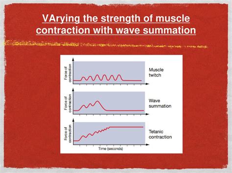 Image result for Wave Summation Graph