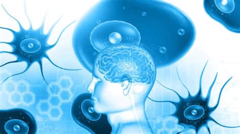 Brain-Eating Amoeba: Kerala Reports 70+ Cases and 20 Deaths — What It ...