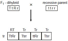 Principles of Inheritance and Evolution, Chapter Notes, Class 12 ...