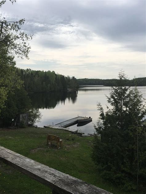 Shining Tree Tourism (2024): All You Need to Know Before You Go