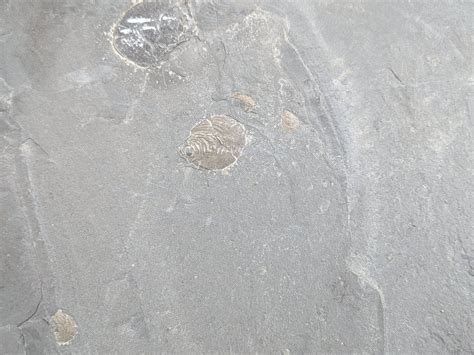 NATURAL WONDERS (2026) All You Need to Know BEFORE You Go (with Photos ...