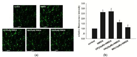 IJMS | Special Issue : Molecular and Cellular Mechanisms of Neurotoxicity